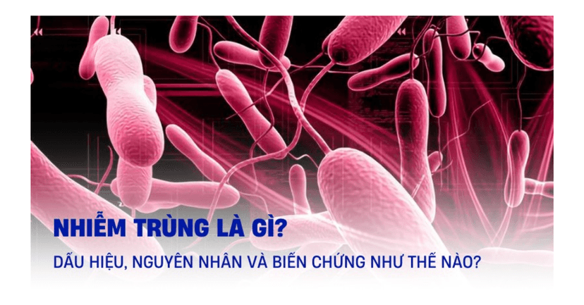 Nhiễm Trùng: Nguyên Nhân, Triệu Chứng Và Phương Pháp Điều Trị Hiệu Quả